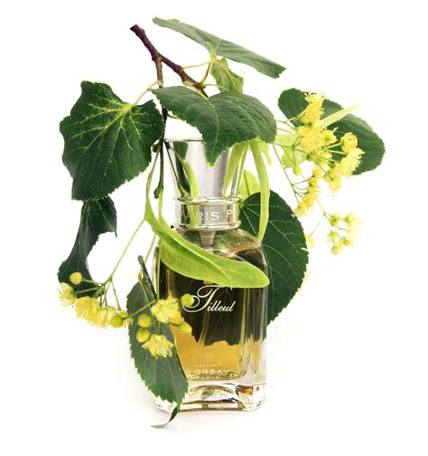 lindenblüten parfum tilleul